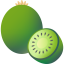 kiwi bes